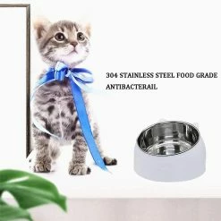 Bxasdf Pet Dog Cat Feeding Bowl, Pet Cat Bowl Puppy Food Water Feeder, Pas De Glissement -Pet Soin 175906474 max