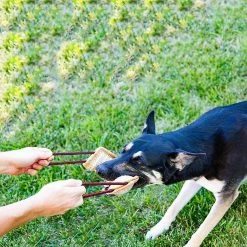 Sxbd Dressage De Chien Oreiller Jute Morsure Jouet Chien Remorquer Jouet Durable Dog Stick -Pet Soin 184393266 max