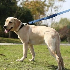 Knfe Pet Gear Dog Leash 1,5 M De Long Rembourré Deux Poignées Robustes Doubles Poignées Plomb 8 Knfe Pet Gear Dog Leash 1,5 M De Long Rembourré Deux Poignées Robustes Doubles Poignées Plomb -Pet Soin 190179579 max