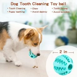 Unbranded 5cm Caoutchouc Naturel Pet Dog Toys Chien Jouets à Mâcher Dents Nettoyage Des Dents Treat Ball Extra-tough Interactive Elasticity Ball Pour Animaux De Compagnie Produits Pour Animaux De Compagnie 9 Unbranded 5cm Caoutchouc Naturel Pet Dog Toys Chien Jouets à Mâcher Dents Nettoyage Des Dents Treat Ball Extra-tough Interactive Elasticity Ball Pour Animaux De Compagnie Produits Pour Animaux De Compagnie -Pet Soin 190251201 max