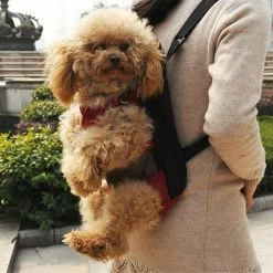 Yeye Sac à Dos Pet Carrier, Sac à Dos Réglable Pet Front Cat Dog Carrier Backpack 7 Yeye Sac à Dos Pet Carrier, Sac à Dos Réglable Pet Front Cat Dog Carrier Backpack -Pet Soin 192750258 max