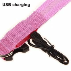 Yskaze Led Dog Collar Battery Operated Rend Votre Chien Visible En Toute Sécurité Et Vu -Pet Soin 195649734 max