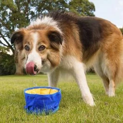 Giveuphesit Dog Bowl Travel Bowls Pliable Pour Chien De Compagnie, étanche Portable Sur Le Pouce Avec Bol D’alimentation à Fermeture à Glissière Et Bol à Boire (2 Bols De Voyage) -Pet Soin 196057996 max