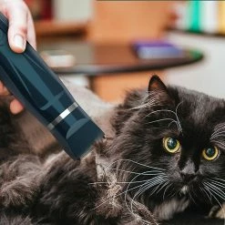 Sxbd 2 En 1 Pet Nail Grinder 2 Vitesses Dog Nail Trimmmer Low Noise USB Rechargeable Paws Grooming & Trimming Pour Grande Race Petite Chiens Moyens Chats Avec Dog Gro 7 Sxbd 2 En 1 Pet Nail Grinder 2 Vitesses Dog Nail Trimmmer Low Noise USB Rechargeable Paws Grooming & Trimming Pour Grande Race Petite Chiens Moyens Chats Avec Dog Gro -Pet Soin 198927106 max