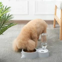 Unbranded Pet Cat And Dog Double Bowl Anti Étouffement Acier Inoxydable Eau Potable Automatique 6 Unbranded Pet Cat And Dog Double Bowl Anti Étouffement Acier Inoxydable Eau Potable Automatique -Pet Soin 209498940 max