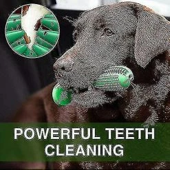 Brosse à Dents Qian Dog, Jouets De Nettoyage De Dents Cadeaux à Mâcher, éliminer En Toute Sécurité La Mauvaise Haleine (18cm) 8 Brosse à Dents Qian Dog, Jouets De Nettoyage De Dents Cadeaux à Mâcher, éliminer En Toute Sécurité La Mauvaise Haleine (18cm) -Pet Soin 211019320 max