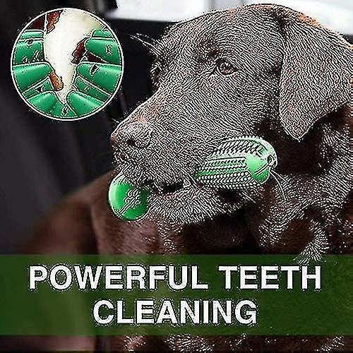 Brosse à Dents Qian Dog, Jouets De Nettoyage De Dents Cadeaux à Mâcher, éliminer En Toute Sécurité La Mauvaise Haleine (18cm) 4 Brosse à Dents Qian Dog, Jouets De Nettoyage De Dents Cadeaux à Mâcher, éliminer En Toute Sécurité La Mauvaise Haleine (18cm) – Image 4
