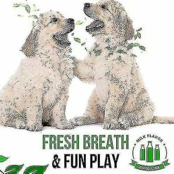 Brosse à Dents Qian Dog, Jouets De Nettoyage De Dents Cadeaux à Mâcher, éliminer En Toute Sécurité La Mauvaise Haleine (18cm) 9 Brosse à Dents Qian Dog, Jouets De Nettoyage De Dents Cadeaux à Mâcher, éliminer En Toute Sécurité La Mauvaise Haleine (18cm) -Pet Soin 211019321 max