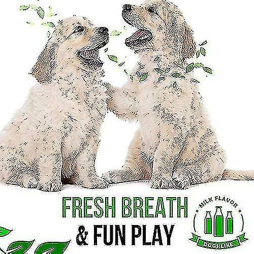 Brosse à Dents Qian Dog, Jouets De Nettoyage De Dents Cadeaux à Mâcher, éliminer En Toute Sécurité La Mauvaise Haleine (18cm) 5 Brosse à Dents Qian Dog, Jouets De Nettoyage De Dents Cadeaux à Mâcher, éliminer En Toute Sécurité La Mauvaise Haleine (18cm) – Image 5