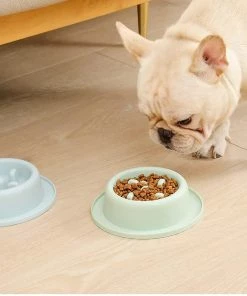 Tinor Dog Slow Feeder Bowl, Anti Slip Puzzle Bowl - Anti-gulping Pet Slower Food Feeding Dishes - Durable Preventing Choking Healthy Design Bowlgreen 5 Tinor Dog Slow Feeder Bowl, Anti Slip Puzzle Bowl - Anti-gulping Pet Slower Food Feeding Dishes - Durable Preventing Choking Healthy Design Bowlgreen -Pet Soin 229161763 max