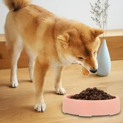 Tinor Slow Feeder Dog Bowlsslow Feeder Small Dog Bowls Anti-slip Puzzle Bowl Feeder Interactive Bloat Stop Dog Bowl Anti-choking Dog Bowlpink -Pet Soin 229163796 max