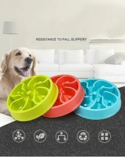 Unbranded Portable Pet Dog Feeding Food Bowls Puppy Slow Down Eating Feeder Dish Bowel Dog Supplies #01 4 Unbranded Portable Pet Dog Feeding Food Bowls Puppy Slow Down Eating Feeder Dish Bowel Dog Supplies #01 -Pet Soin 235073778 max