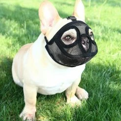 Wonderful Fong Fong Museau Court Museau De Chien Museau Bulldog Museau, Stop Dog Pour Mordre Aboyer Mâcher, Bouche Courte Réglable Chien Anti-morsure Masque Anti-manger Pet Supplie 7 Wonderful Fong Fong Museau Court Museau De Chien Museau Bulldog Museau, Stop Dog Pour Mordre Aboyer Mâcher, Bouche Courte Réglable Chien Anti-morsure Masque Anti-manger Pet Supplie -Pet Soin 258647973 max