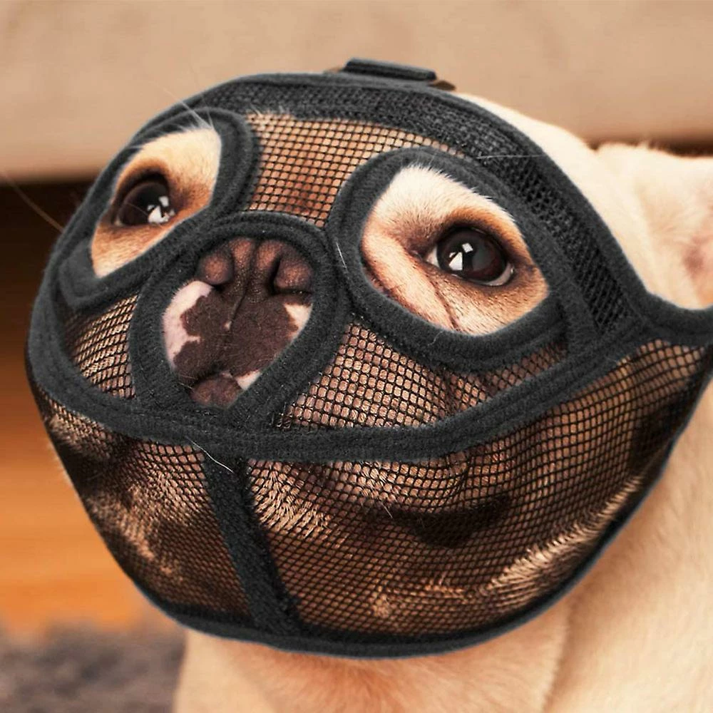 Wonderful Fong Fong Museau Court Museau De Chien Museau Bulldog Museau, Stop Dog Pour Mordre Aboyer Mâcher, Bouche Courte Réglable Chien Anti-morsure Masque Anti-manger Pet Supplie 4 Wonderful Fong Fong Museau Court Museau De Chien Museau Bulldog Museau, Stop Dog Pour Mordre Aboyer Mâcher, Bouche Courte Réglable Chien Anti-morsure Masque Anti-manger Pet Supplie – Image 4
