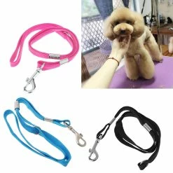 Unbranded Pet Leash Nylon Cat Dog Grooming Loop Câble Laisses Pour La Baignade De Beauté 7 Unbranded Pet Leash Nylon Cat Dog Grooming Loop Câble Laisses Pour La Baignade De Beauté -Pet Soin 259355995 max