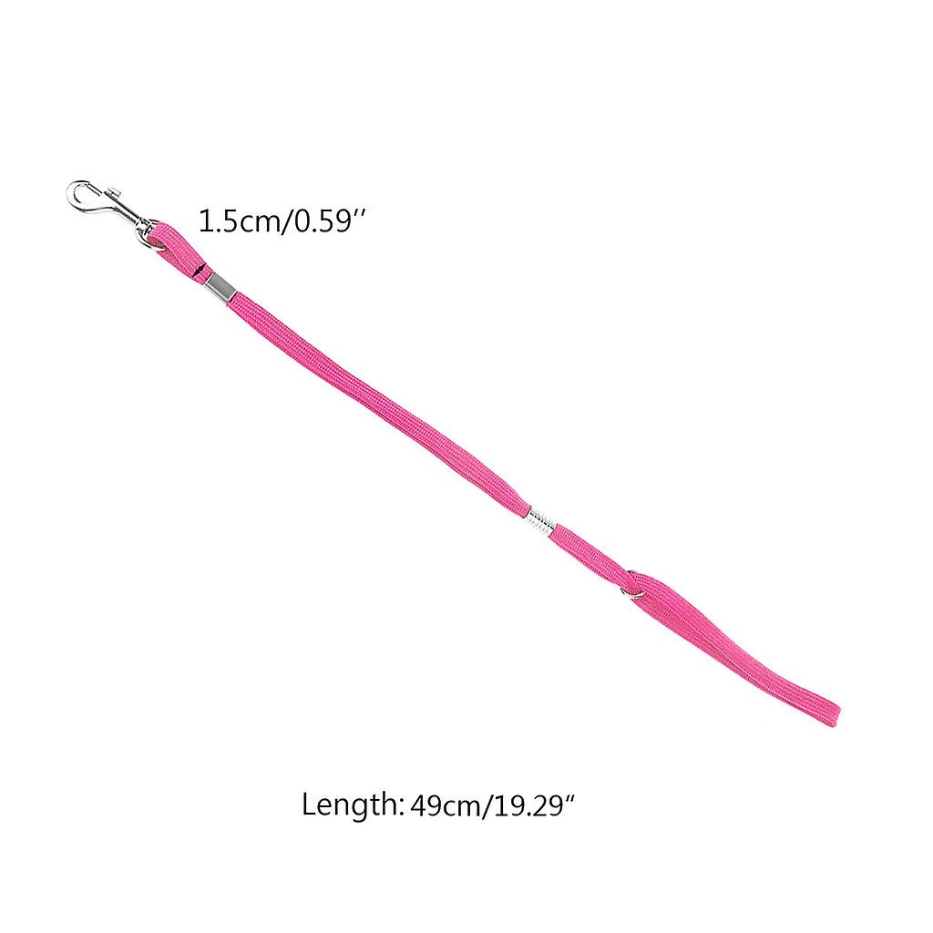 Unbranded Pet Leash Nylon Cat Dog Grooming Loop Câble Laisses Pour La Baignade De Beauté 5 Unbranded Pet Leash Nylon Cat Dog Grooming Loop Câble Laisses Pour La Baignade De Beauté – Image 5