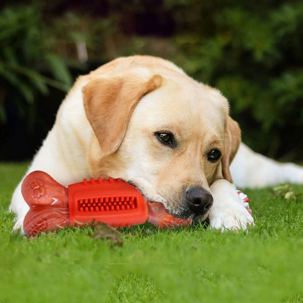 Unbranded Tough Dog Toys Extreme Chew Toys Indestructible Pour Chiens Jouet Interactif à Mâcher 3 Unbranded Tough Dog Toys Extreme Chew Toys Indestructible Pour Chiens Jouet Interactif à Mâcher – Image 3