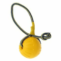 Unbranded Pet Dog Training Toy Ball Dog Rubber Ball Chew Jouet Résistant Avec Corde 7 Unbranded Pet Dog Training Toy Ball Dog Rubber Ball Chew Jouet Résistant Avec Corde -Pet Soin 259363839 max