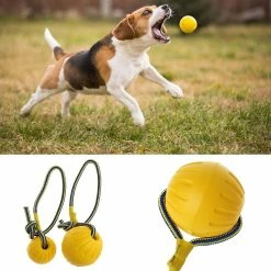 Unbranded Pet Dog Training Toy Ball Dog Rubber Ball Chew Jouet Résistant Avec Corde 9 Unbranded Pet Dog Training Toy Ball Dog Rubber Ball Chew Jouet Résistant Avec Corde -Pet Soin 259364076 max