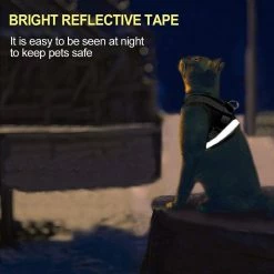 Wonderful Fong Dog Harness And Leash Set Pour Marcher Chat Et Petit Chien Harnais Soft Mesh Puppy Harnais Réglable Cat Vest Harness Avec Sangle Réfléchissante Confort 7 Wonderful Fong Dog Harness And Leash Set Pour Marcher Chat Et Petit Chien Harnais Soft Mesh Puppy Harnais Réglable Cat Vest Harness Avec Sangle Réfléchissante Confort -Pet Soin 273749603 max