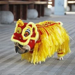 Unbranded Puppy Clothes Dancing Lion Cosplay Clothing Chinese Style New Year Pet Dog Costume Pet Supplies 7 Unbranded Puppy Clothes Dancing Lion Cosplay Clothing Chinese Style New Year Pet Dog Costume Pet Supplies -Pet Soin 280815985 max