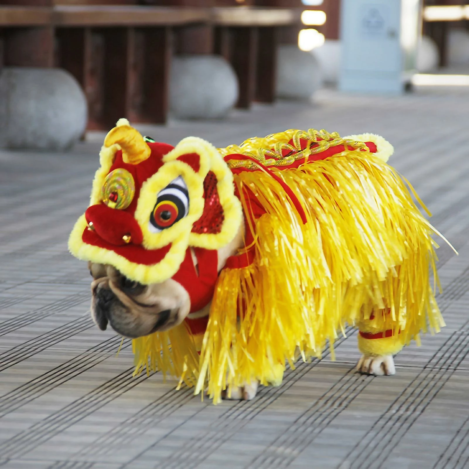 Unbranded Puppy Clothes Dancing Lion Cosplay Clothing Chinese Style New Year Pet Dog Costume Pet Supplies 3 Unbranded Puppy Clothes Dancing Lion Cosplay Clothing Chinese Style New Year Pet Dog Costume Pet Supplies – Image 3