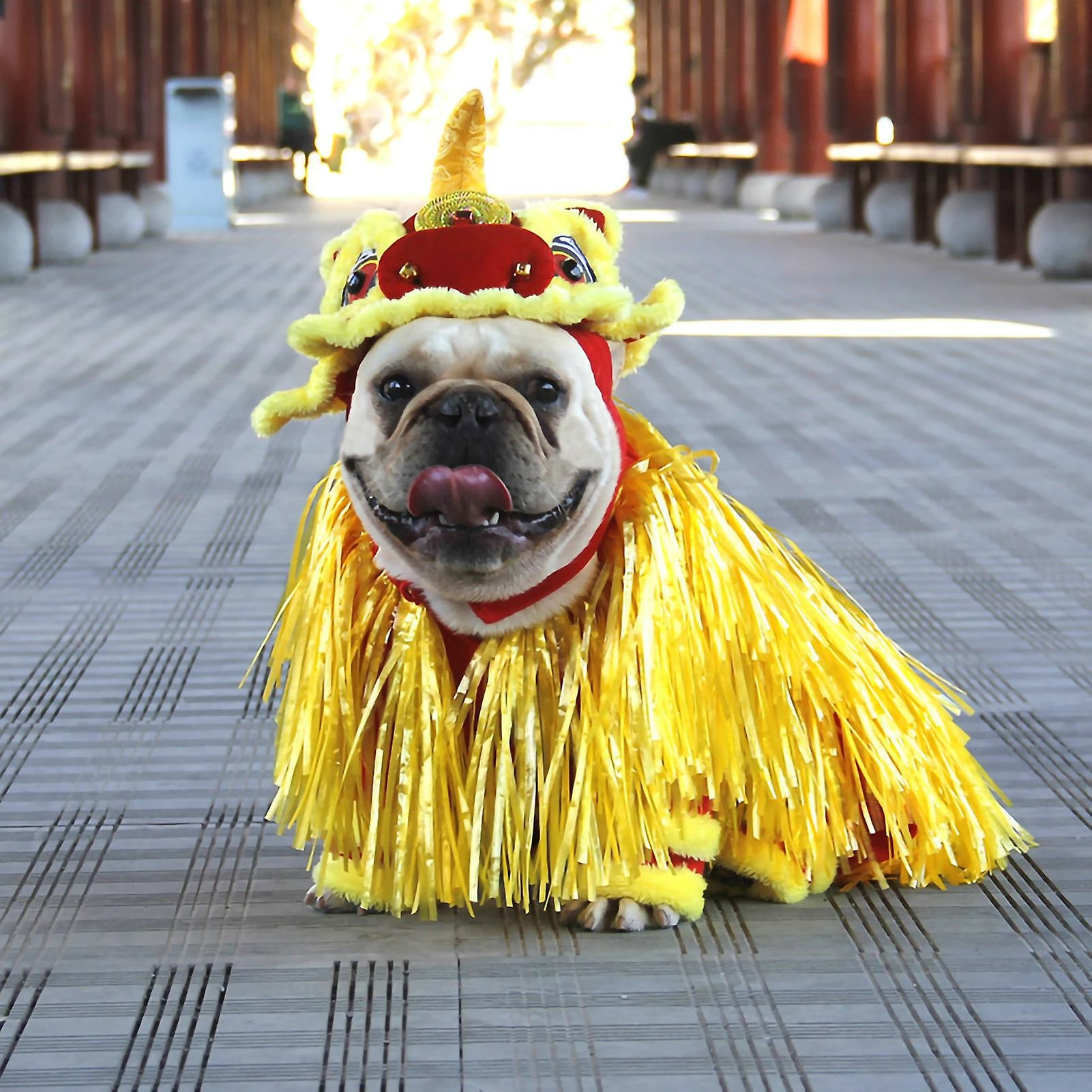 Unbranded Puppy Clothes Dancing Lion Cosplay Clothing Chinese Style New Year Pet Dog Costume Pet Supplies 5 Unbranded Puppy Clothes Dancing Lion Cosplay Clothing Chinese Style New Year Pet Dog Costume Pet Supplies – Image 5