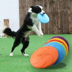 Mslam 6pc Pet Ufo Toys Small Medium Large Dog Flying Discs Trainning Jouet Interactif Puppy Rubber Fetch Flying Disc -Pet Soin 281386076 max