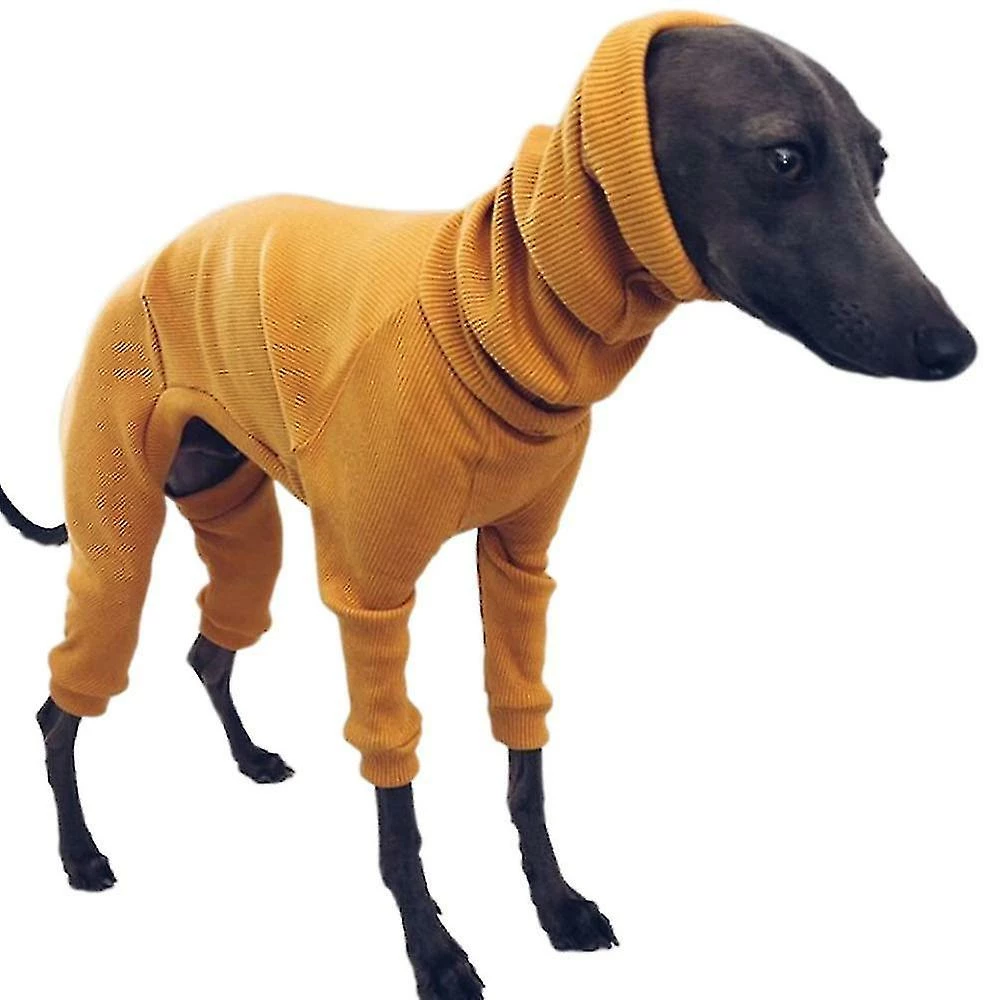 Antemall Manteau De Chien D’hiver Veste Tight Dog Hoodie Dog Pull Pull Pour Greyhou 2 Antemall Manteau De Chien D’hiver Veste Tight Dog Hoodie Dog Pull Pull Pour Greyhou – Image 2