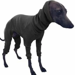 Antemall Manteau De Chien D’hiver Veste Tight Dog Hoodie Dog Pull Pull Pour Greyhou 6 Antemall Manteau De Chien D’hiver Veste Tight Dog Hoodie Dog Pull Pull Pour Greyhou -Pet Soin 284401159 max