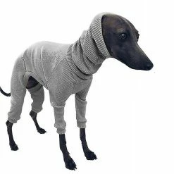 Antemall Manteau De Chien D’hiver Veste Tight Dog Hoodie Dog Pull Pull Pour Greyhou 7 Antemall Manteau De Chien D’hiver Veste Tight Dog Hoodie Dog Pull Pull Pour Greyhou -Pet Soin 284401160 max