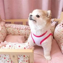 Yskaze Chemises Pour Chiens Chemises Pour Animaux De Compagnie T-shirt Pour Chiens Puppy Dog T Shirt Puppy Vest Puppy Vêtements Pour Petits Chiens Doggie Tee Vêtements D’été Femelle D -Pet Soin 284659728 max