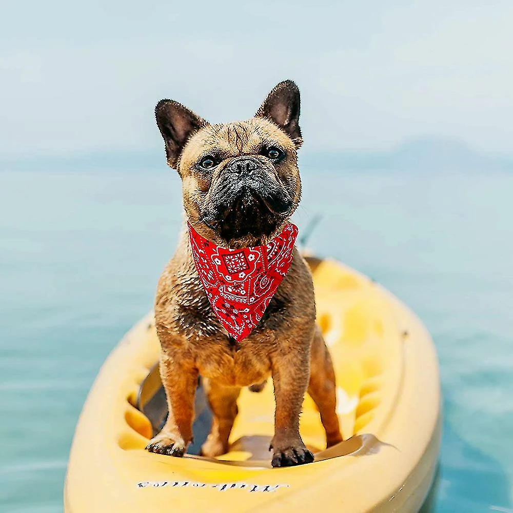 Unbranded Dog Bandana, 4 Pcs Anniversaire Cadeau De Noël Lavable Dog Bandana - Rouge Noir Bleu Rose Coton Plaid Impression Dog Bibs Kerchief Set Foulard Accessoire 4 Unbranded Dog Bandana, 4 Pcs Anniversaire Cadeau De Noël Lavable Dog Bandana - Rouge Noir Bleu Rose Coton Plaid Impression Dog Bibs Kerchief Set Foulard Accessoire – Image 4