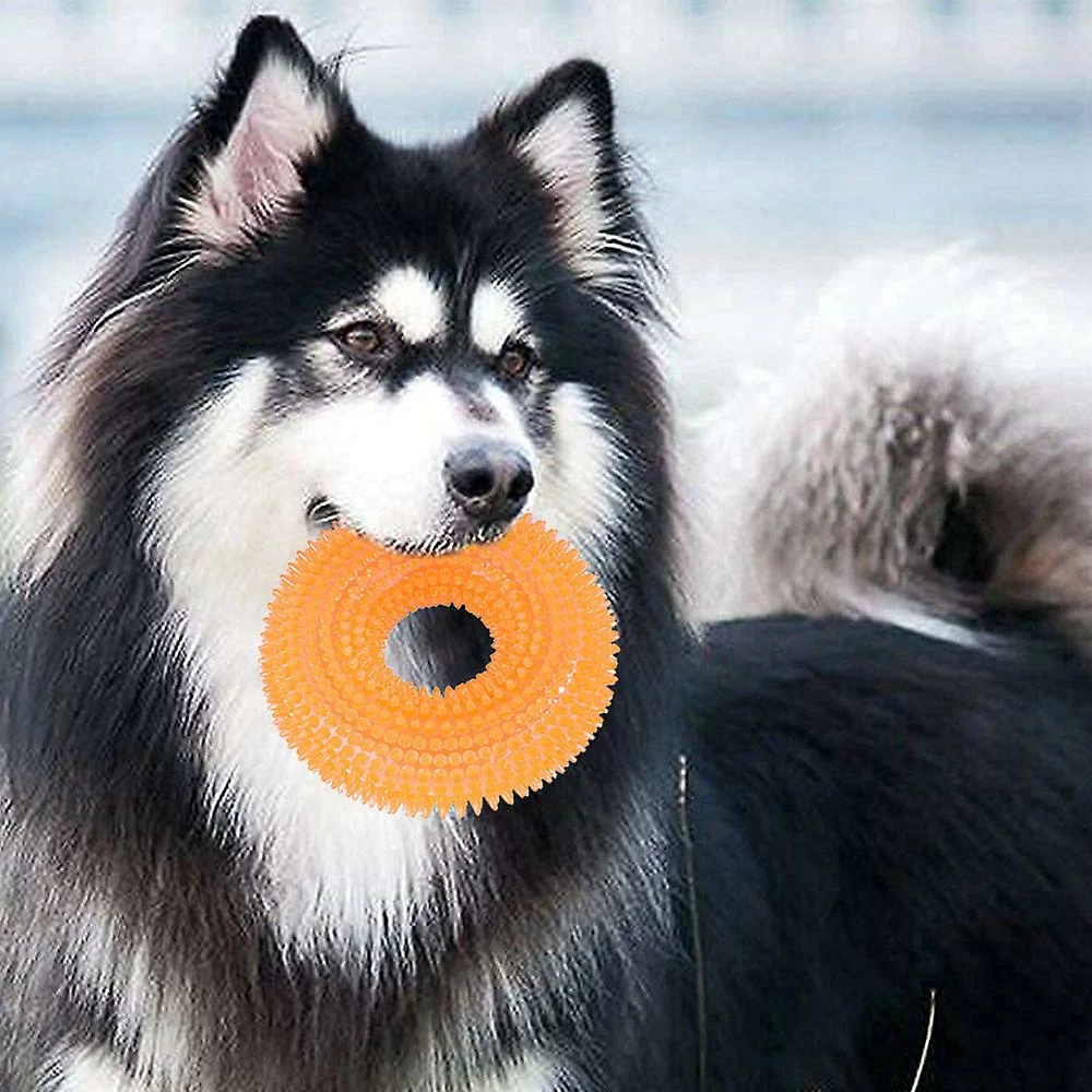 Ctmw Funny Pet Dog Cat Thorn Circle Ring Squeak Chew Training Sound Jouet Interactif 3 Ctmw Funny Pet Dog Cat Thorn Circle Ring Squeak Chew Training Sound Jouet Interactif – Image 3