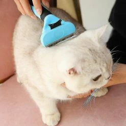 Unbranded Pet Cat Dog Peign Brush Professional Hair Remover Cat Brush Pet Grooming Products Pet Trimmer Redmite 7 Unbranded Pet Cat Dog Peign Brush Professional Hair Remover Cat Brush Pet Grooming Products Pet Trimmer Redmite -Pet Soin 304005587 max