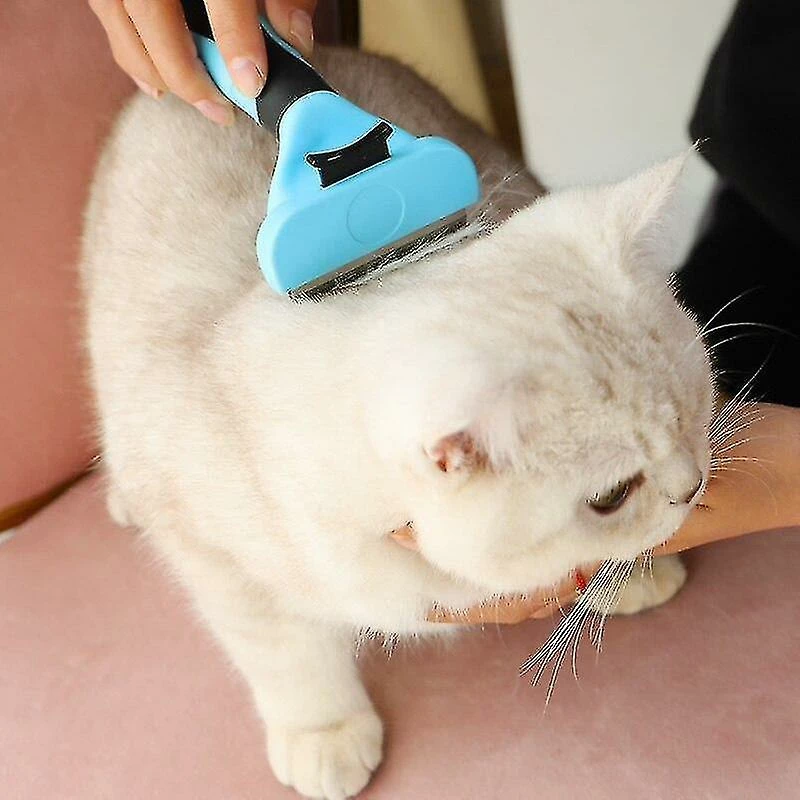 Unbranded Pet Cat Dog Peign Brush Professional Hair Remover Cat Brush Pet Grooming Products Pet Trimmer Redmite 3 Unbranded Pet Cat Dog Peign Brush Professional Hair Remover Cat Brush Pet Grooming Products Pet Trimmer Redmite – Image 3