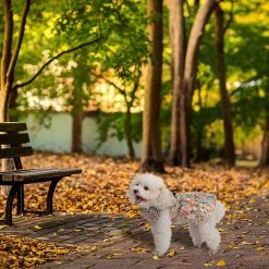 Yskaze Mignon Flower Girl Dog Dress Pet Clothes - Belle Jupe Pet Puppy Pleine De Motifs De Fleurs, Parfait Pour Le Port Quotidien, Les Vacances Et La Prise De Photos -Pet Soin 308814947 max