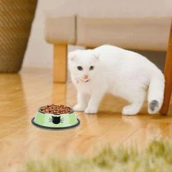 Wonderful Fong 3pcs Pet Bowl En Acier Inoxydable Base Antidérapante Dog Bowl Cat Bowl Avec 2 Cuillères à Nourriture -Pet Soin 309263168 max