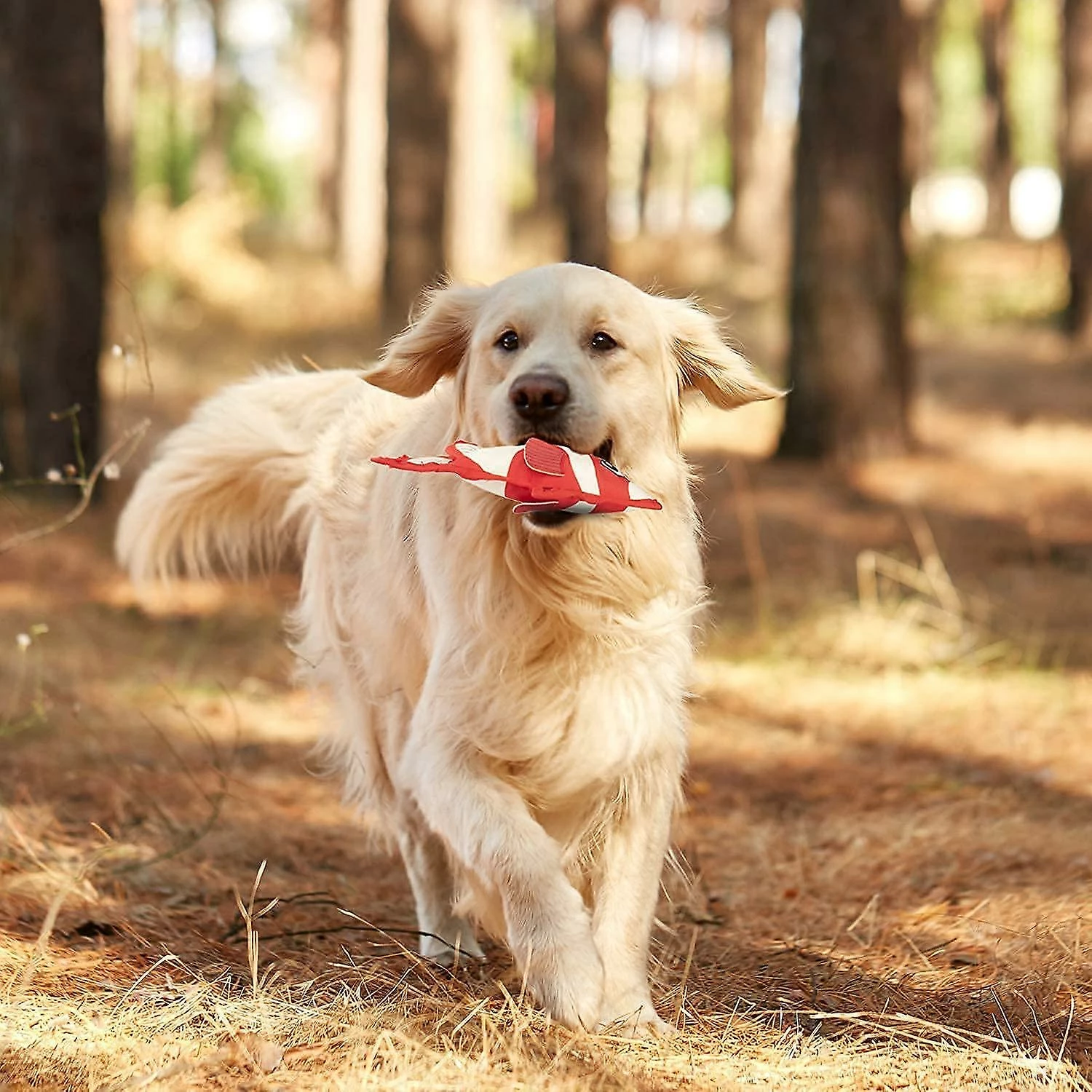 Unbranded 2023 - Nouveau Produit Dog Toy Dog Chew Toy Vocal Interactive Toy Ball Red Striped Fish + Blue Ocean Fish 2 Unbranded 2023 - Nouveau Produit Dog Toy Dog Chew Toy Vocal Interactive Toy Ball Red Striped Fish + Blue Ocean Fish – Image 2