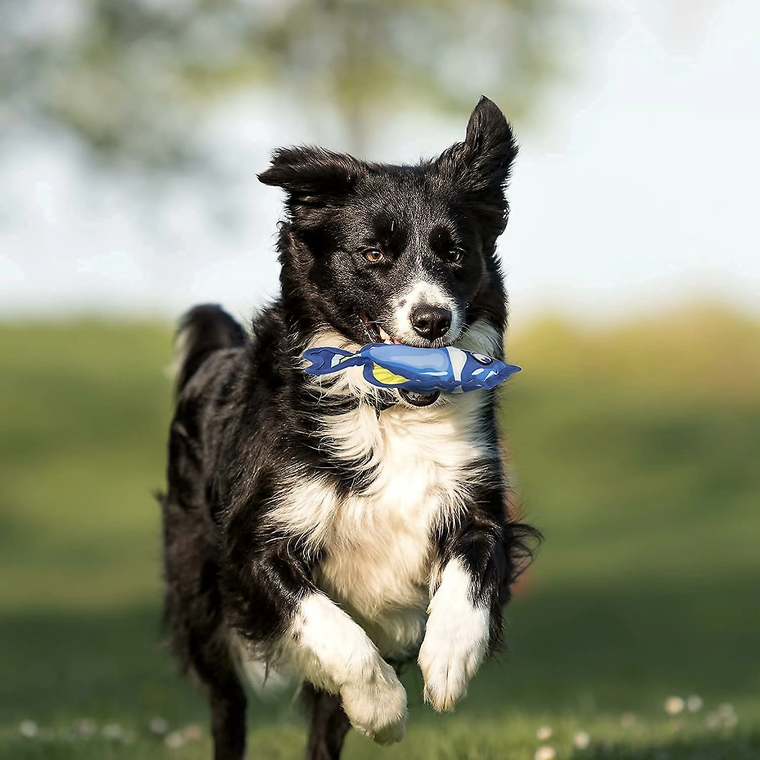 Unbranded 2023 - Nouveau Produit Dog Toy Dog Chew Toy Vocal Interactive Toy Ball Red Striped Fish + Blue Ocean Fish 3 Unbranded 2023 - Nouveau Produit Dog Toy Dog Chew Toy Vocal Interactive Toy Ball Red Striped Fish + Blue Ocean Fish – Image 3