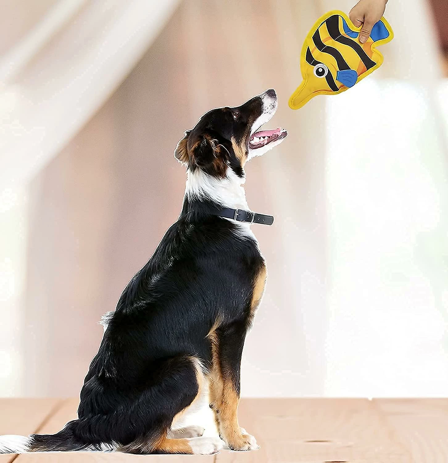 Unbranded 2023 - Nouveau Produit Dog Toy Dog Chew Toy Vocal Interactive Toy Ball Red Striped Fish + Blue Ocean Fish 4 Unbranded 2023 - Nouveau Produit Dog Toy Dog Chew Toy Vocal Interactive Toy Ball Red Striped Fish + Blue Ocean Fish – Image 4