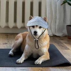 Visvin 2 Pcs Pet Baseball Outdoor Cap Réglable Summer Pet Cap Dog Outdoor Sunbonnet 7 Visvin 2 Pcs Pet Baseball Outdoor Cap Réglable Summer Pet Cap Dog Outdoor Sunbonnet -Pet Soin 311923495 max