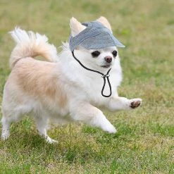 Visvin 2 Pcs Pet Baseball Outdoor Cap Réglable Summer Pet Cap Dog Outdoor Sunbonnet 9 Visvin 2 Pcs Pet Baseball Outdoor Cap Réglable Summer Pet Cap Dog Outdoor Sunbonnet -Pet Soin 311923543 max