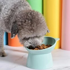 Sevenprin Pet Puppy High Foot Food Bowl Distributeur Cat Dog Water Food Container 6 Sevenprin Pet Puppy High Foot Food Bowl Distributeur Cat Dog Water Food Container -Pet Soin 311937835 max
