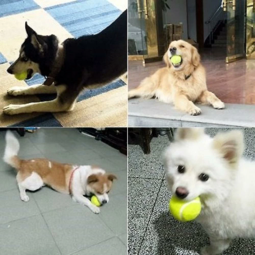 Unbranded 6pcs Dog Toy Resistance Training Ball 5 Unbranded 6pcs Dog Toy Resistance Training Ball – Image 5