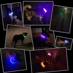 Unbranded Led Light Dog Collier Usb Rechargeable - Longueur Réglable Collier De Sécurité Pour Chiens Et Chats - 3 Mo -Pet Soin 312865369 max