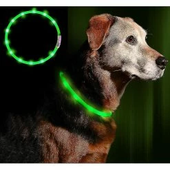 Unbranded Led Light Dog Collier Usb Rechargeable - Longueur Réglable Collier De Sécurité Pour Chiens Et Chats - 3 Mo -Pet Soin 312866080 max