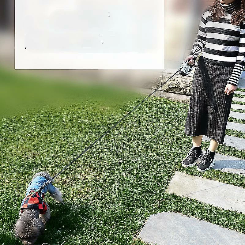 Sajygv Sajy Dog Leash Rétractable Laisse De Marche Solide Avec Lumière LED - Vert, 3m 2 Sajygv Sajy Dog Leash Rétractable Laisse De Marche Solide Avec Lumière LED - Vert, 3m – Image 2