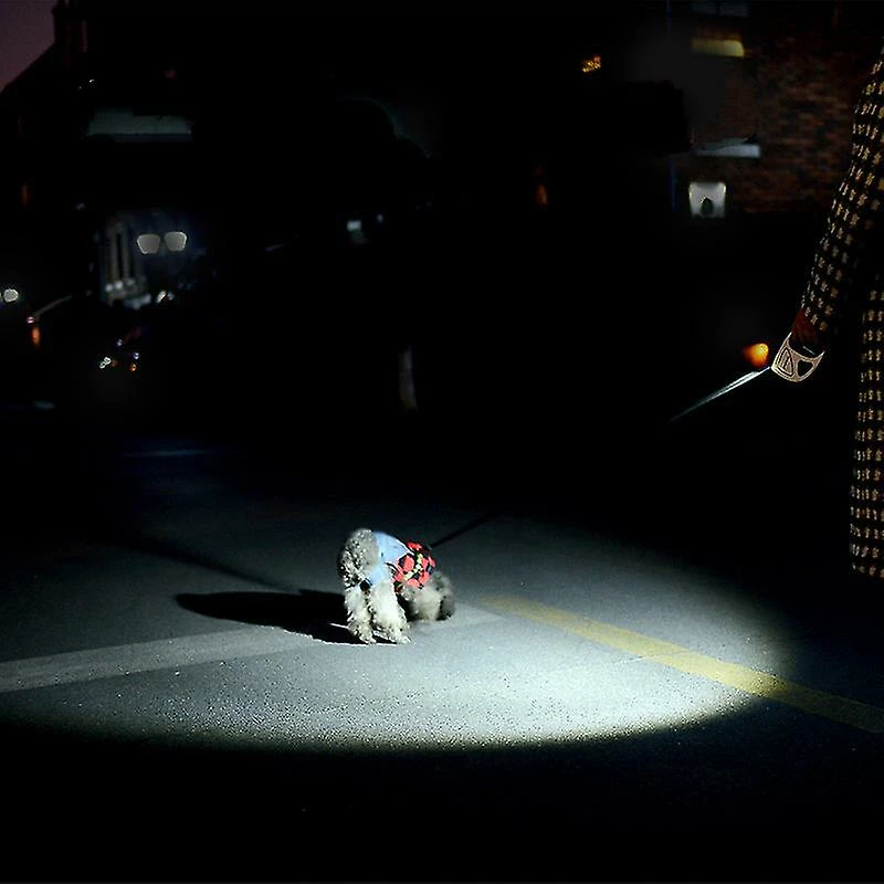 Sajygv Sajy Dog Leash Rétractable Laisse De Marche Solide Avec Lumière LED - Vert, 3m 3 Sajygv Sajy Dog Leash Rétractable Laisse De Marche Solide Avec Lumière LED - Vert, 3m – Image 3