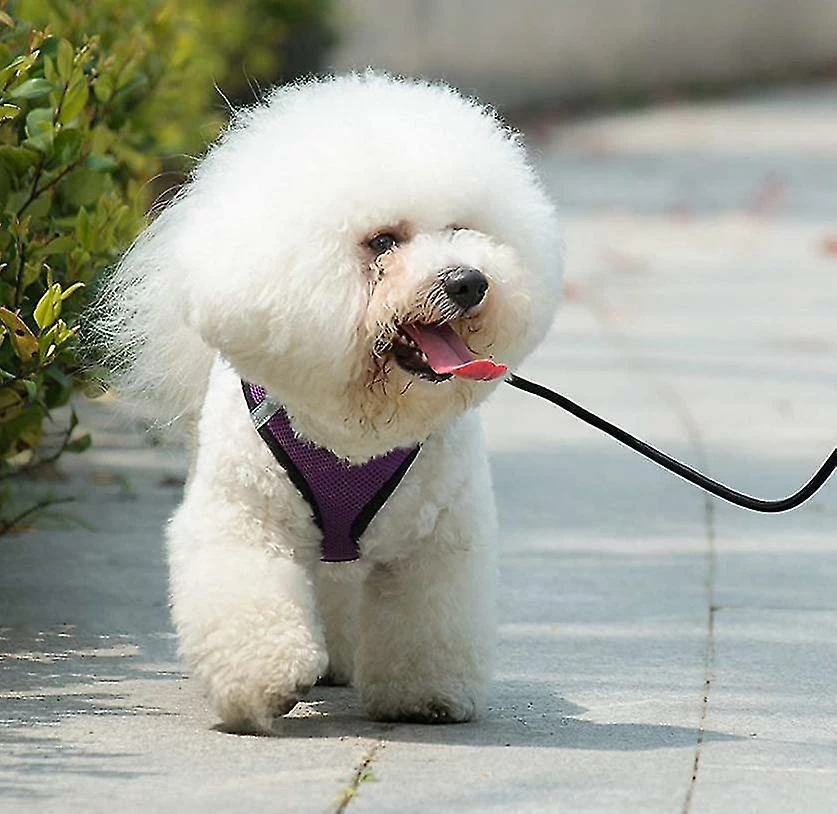 Unbranded Walk-in Air Dog Harness-small And Medium-sized Dog Walk-in Vest (Violet) 3 Unbranded Walk-in Air Dog Harness-small And Medium-sized Dog Walk-in Vest (Violet) – Image 3